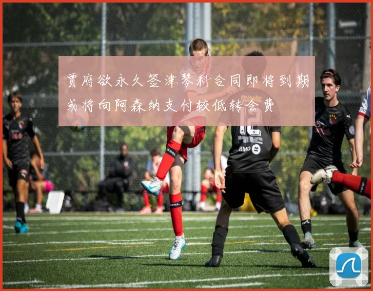 贾府欲永久签津琴科合同即将到期或将向阿森纳支付较低转会费