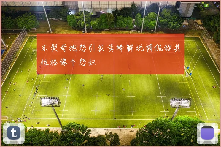 东契奇抱怨引发黄蜂解说调侃称其性格像个怨妇